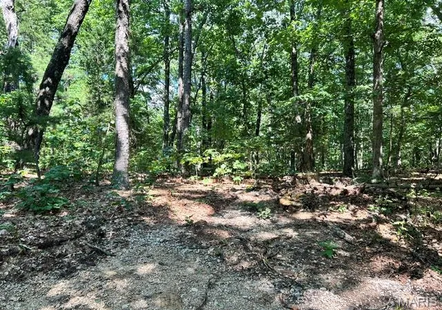 4th image of 1 Frst Rd Banner-Belleview Rd, Belleview, MO 63623 | MLS# MIS26045178