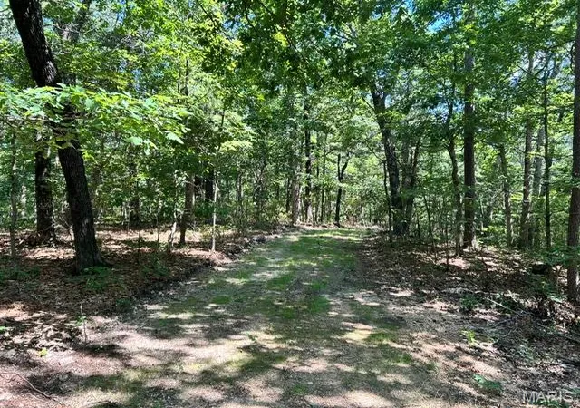 5th image of 1 Frst Rd Banner-Belleview Rd, Belleview, MO 63623 | MLS# MIS26045178