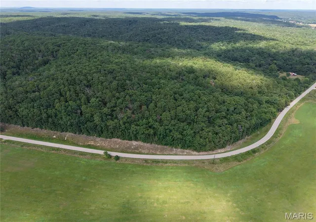 2nd image of 7491 Wayne Route V, Piedmont, MO 63957 | MLS# MIS26045183