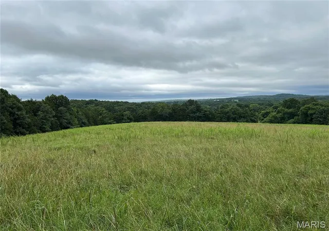 1st image of 0 Allen Rd, Hillsboro, MO 63050 | MLS# MIS26045402