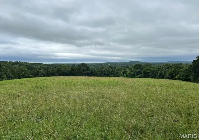 2nd image of 0 Allen Rd, Hillsboro, MO 63050 | MLS# MIS26045402