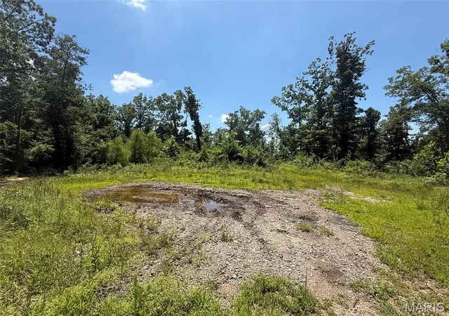 Land for sale at 0 Bcr 840, Marquand, MO 63655 | MLS# MIS26045464