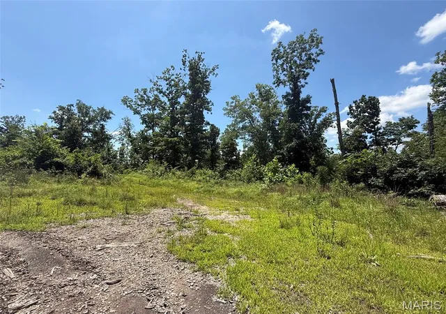 Photo 2 of Land for sale at 0 Bcr 840, Marquand, MO 63655 | MLS# MIS26045464 | Listing updated on 2026-07-20
