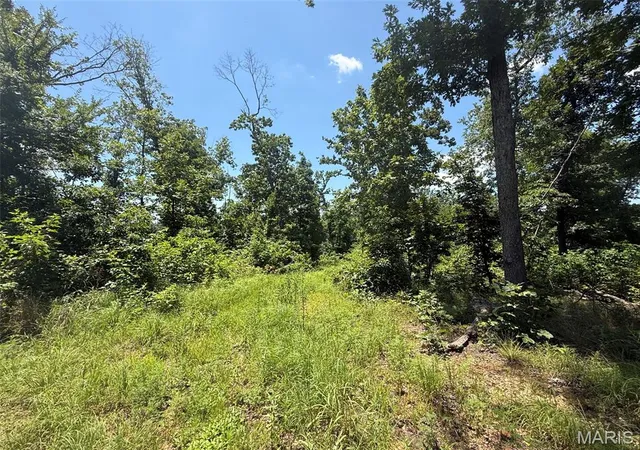 Photo 3 of Land for sale at 0 Bcr 840, Marquand, MO 63655 | MLS# MIS26045464 | Listing updated on 2026-07-20