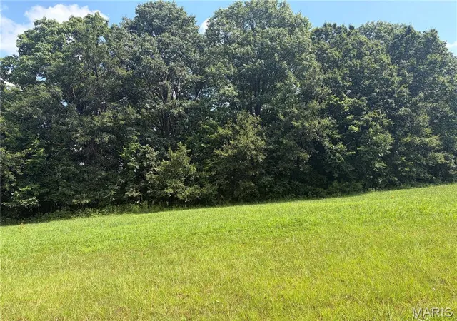 2nd image of 100 Summers Dr, Hawk Point, MO 63349 | MLS# MIS26045470