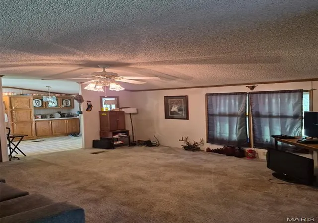 30th image of 45451 Hwy 72 #1, Salem, MO 65560 | MLS# MIS26045493
