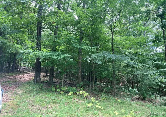 Photo 2 of Land for sale at 0 Scenic View Ln, Cape Girardeau, MO 63701 | MLS# MIS26045561 | Listing updated on 2026-09-03
