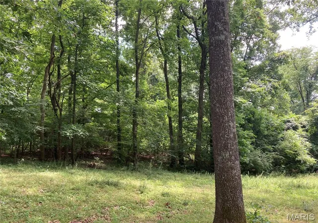 Photo 3 of Land for sale at 0 Scenic View Ln, Cape Girardeau, MO 63701 | MLS# MIS26045561 | Listing updated on 2026-09-03
