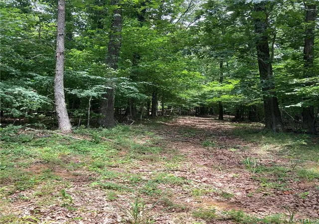 Photo 3 of Land for sale at 0 Scenic View Ln, Cape Girardeau, MO 63701 | MLS# MIS26045561 | Listing updated on 2026-09-03