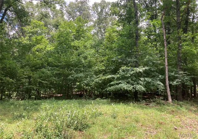 Photo 4 of Land for sale at 0 Scenic View Ln, Cape Girardeau, MO 63701 | MLS# MIS26045561 | Listing updated on 2026-09-03