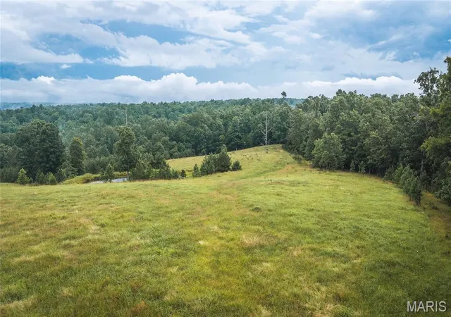 5th image of 617 County Road 5530, Salem, MO 65560 | MLS# MIS26045582