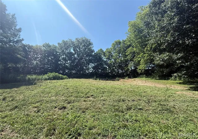 Photo 3 of Land for sale at 717 Lincoln St, Elsberry, MO 63343 | MLS# MIS26045618 | Listing updated on 2026-08-02