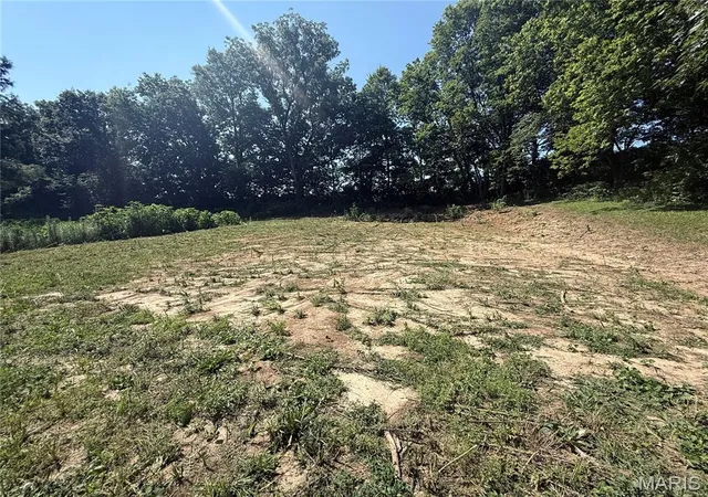 Photo 4 of Sale Pending at 717 Lincoln St, Elsberry, MO 63343 | MLS# MIS26045618 | Listing updated on 2026-10-11