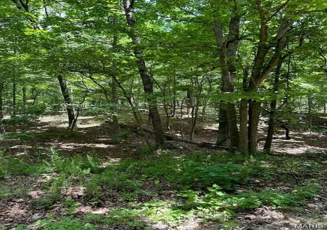 1st image of 0 Hargrove Rd, Saint Robert, MO 65584 | MLS# MIS26045702