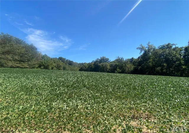 Photo 2 of Land for sale at 0 Hwy C, New Haven, MO 63068 | MLS# MIS26045778 | Listing updated on 2026-09-19