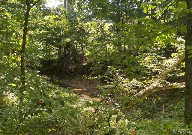 Photo 3 of Land for sale at 0 Hwy C, New Haven, MO 63068 | MLS# MIS26045778 | Listing updated on 2026-09-19