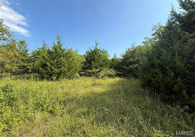 Photo 3 of Land for sale at 10 Clinton Pl, Monroe City, MO 63456 | MLS# MIS26045827 | Listing updated on 2026-07-20