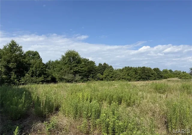 Photo 4 of Land for sale at 10 Clinton Pl, Monroe City, MO 63456 | MLS# MIS26045827 | Listing updated on 2026-07-20