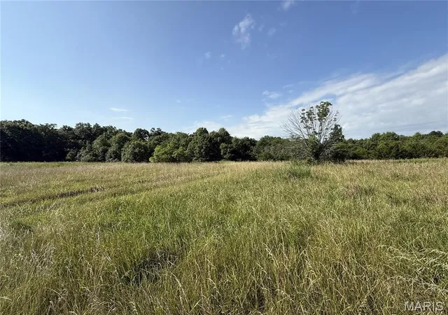 Photo 5 of Land for sale at 10 Clinton Pl, Monroe City, MO 63456 | MLS# MIS26045827 | Listing updated on 2026-07-20