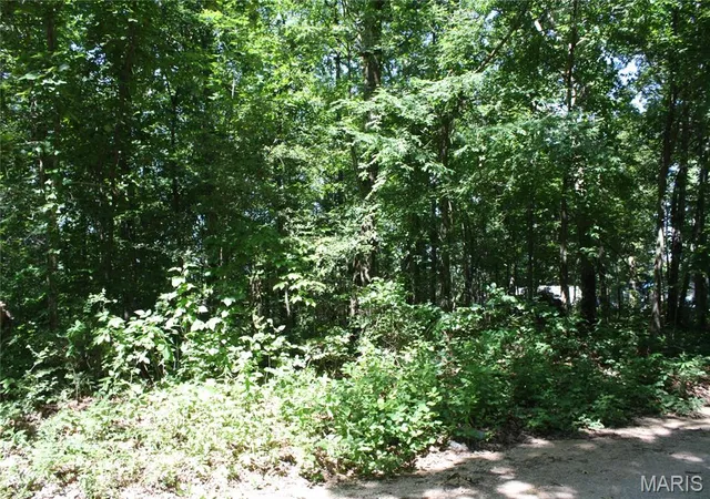 1st image of 00 Lakview Dr, Wappapello, MO 63966 | MLS# MIS26045868