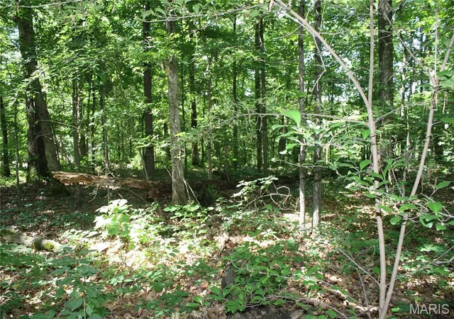 2nd image of 00 Lakview Dr, Wappapello, MO 63966 | MLS# MIS26045868