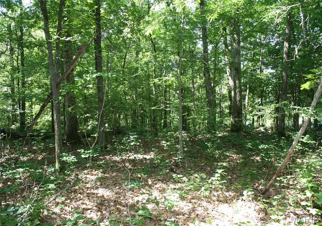 3rd image of 00 Lakview Dr, Wappapello, MO 63966 | MLS# MIS26045868