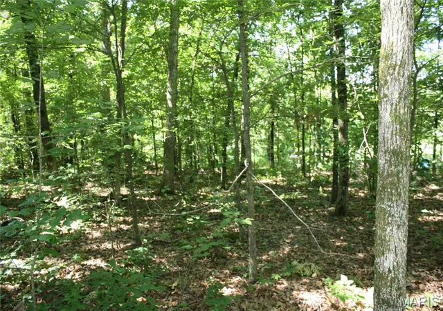 4th image of 00 Lakview Dr, Wappapello, MO 63966 | MLS# MIS26045868