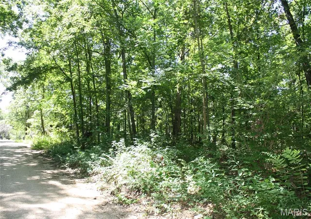 6th image of 00 Lakview Dr, Wappapello, MO 63966 | MLS# MIS26045868