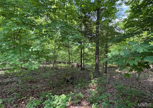 1st image of 5046 Port Perry Dr, Perryville, MO 63775 | MLS# MIS26045908