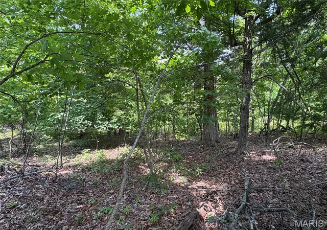 Photo 3 of Land for sale at 5046 Port Perry Dr, Perryville, MO 63775 | MLS# MIS26045908 | Listing updated on 2026-07-17
