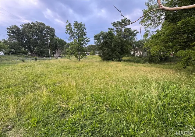 3rd image of 0 Fourth St, Dixon, MO 65459 | MLS# MIS26045975