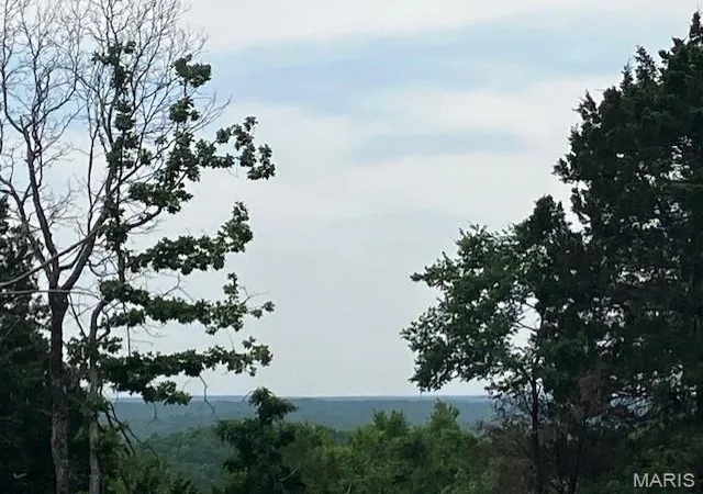 5th image of 257 Madison Cr 410, Fredericktown, MO 63645 | MLS# MIS26046005