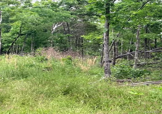 2nd image of 258 Madison Cr 410, Fredericktown, MO 63645 | MLS# MIS26046010