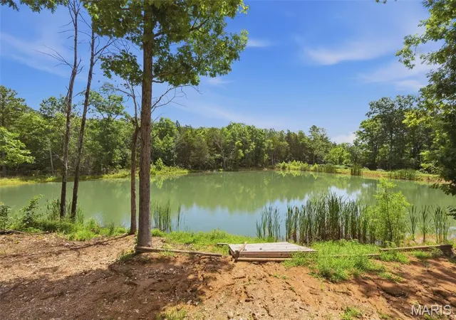 37th image of 10050 Easton Rd, Mineral Point, MO 63660 | MLS# MIS26046079