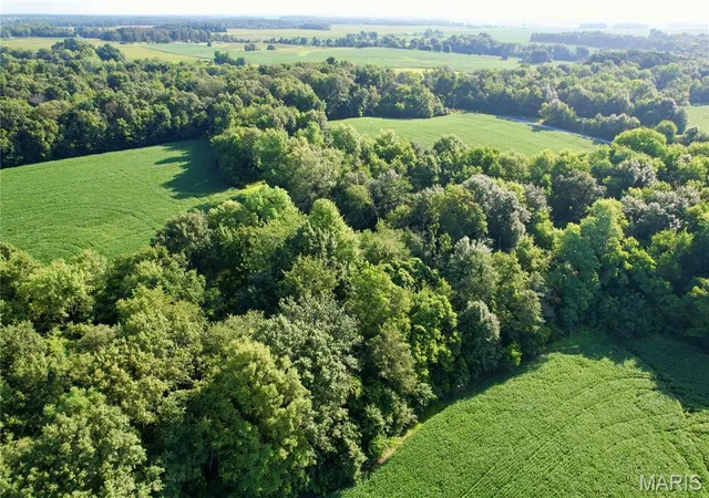 Photo 42 of Sale Pending at 000 County Rd 2100 N, West Salem, IL 62476 | MLS# MIS26046122 | Listing updated on 2026-08-30