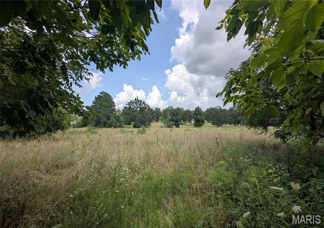 21st image of 12352 W Hwy 32, Salem, MO 65560 | MLS# MIS26046155