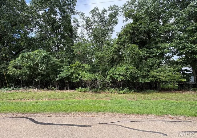 2nd image of 6025 Lake Point Dr, Perryville, MO 63775 | MLS# MIS26046291