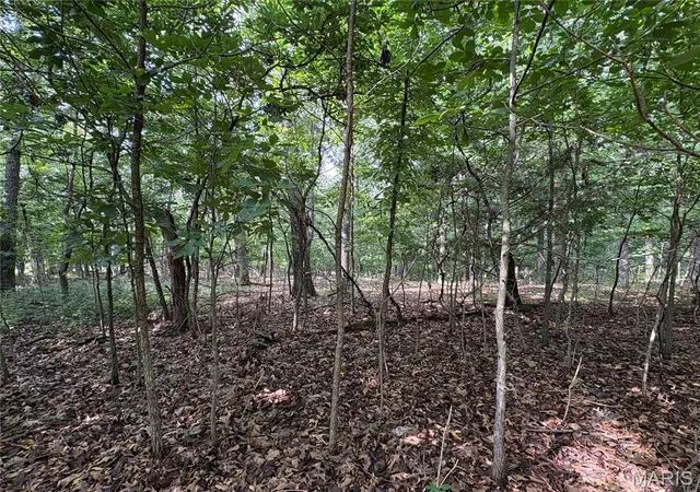 Photo 3 of Land for sale at 6025 Lake Point Dr, Perryville, MO 63775 | MLS# MIS26046291 | Listing updated on 2026-07-20