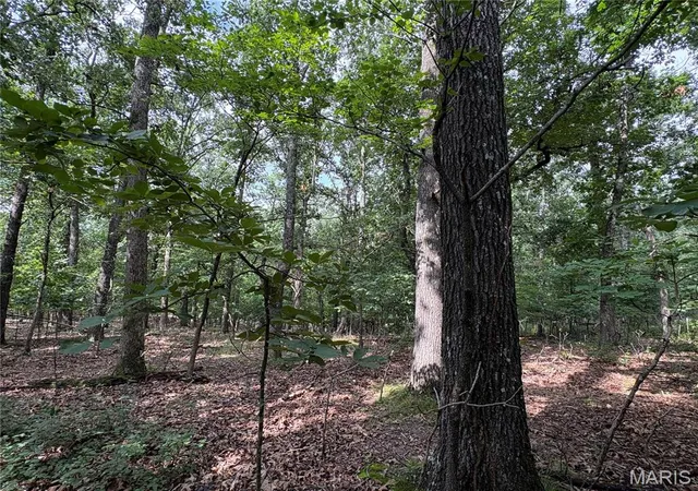 Photo 3 of Land for sale at 6025 Lake Point Dr, Perryville, MO 63775 | MLS# MIS26046291 | Listing updated on 2026-07-20