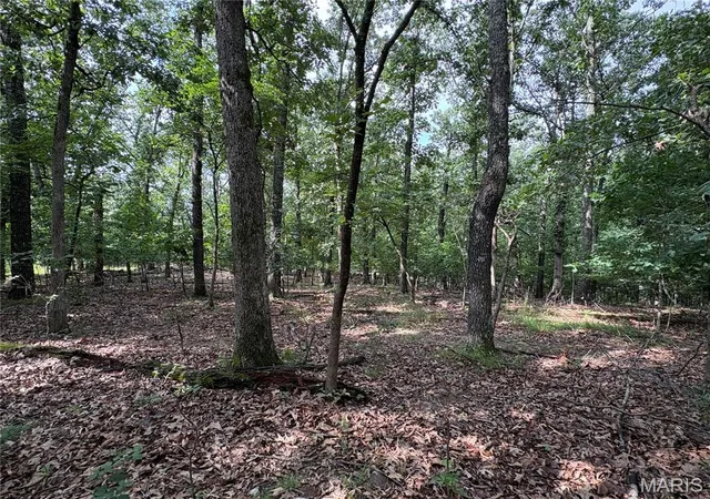 Photo 4 of Land for sale at 6025 Lake Point Dr, Perryville, MO 63775 | MLS# MIS26046291 | Listing updated on 2026-07-20