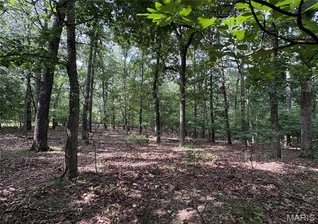 6th image of 6025 Lake Point Dr, Perryville, MO 63775 | MLS# MIS26046291