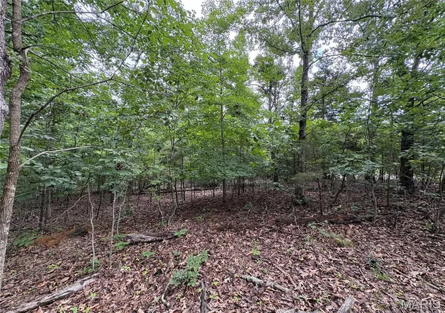 Photo 3 of Land for sale at 5029 Port Perry Dr, Perryville, MO 63775 | MLS# MIS26046314 | Listing updated on 2026-07-20