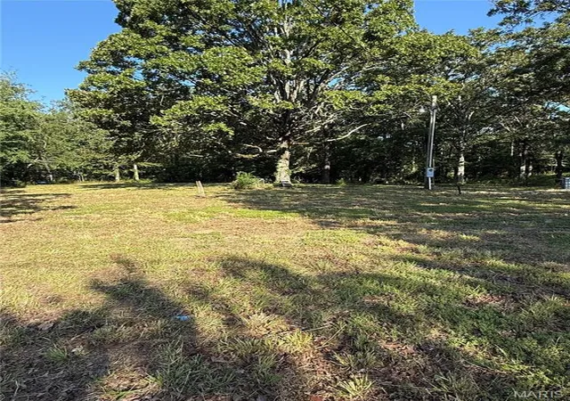 3rd image of 16653 Wayne Hwy D, Wappapello, MO 63966 | MLS# MIS26046364