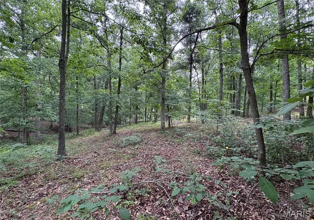 3rd image of 7038 S Port Perry Dr, Perryville, MO 63775 | MLS# MIS26046376