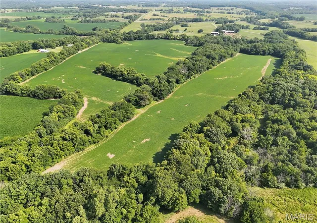 Photo 3 of Land for sale at 0 Walnut Hill Ln (3631+/  Acres), Elsberry, MO 63343 | MLS# MIS26046398 | Listing updated on 2026-08-24