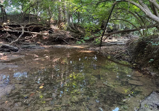 Photo 4 of House for sale at 0 Walnut Hill Ln (3631+/- Acres), Elsberry, MO 63343 | MLS# MIS26046398 | Listing updated on 2026-10-02