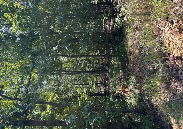 24th image of 2419 Jaxon, Fairdealing, MO 63939 | MLS# MIS26046489
