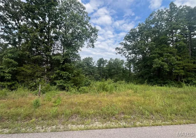 Photo 1 of Land for sale at 0 Grassy Hollow Rd, Potosi, MO 63664 | MLS# MIS26046605 | Listing updated on 2026-07-23