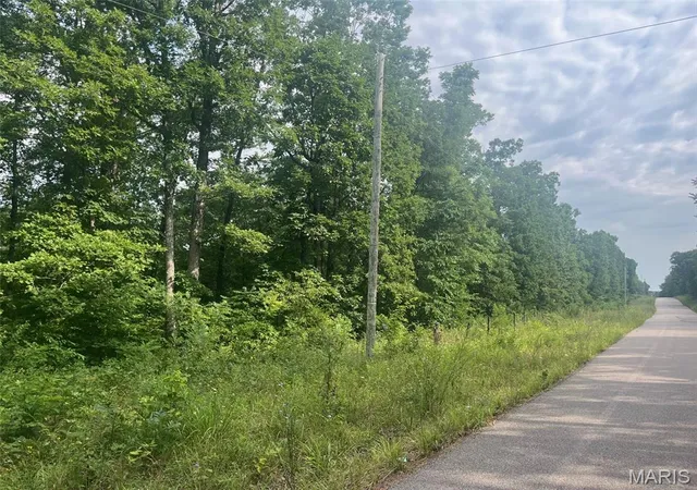 Photo 2 of Land for sale at 0 Grassy Hollow Rd, Potosi, MO 63664 | MLS# MIS26046605 | Listing updated on 2026-07-23