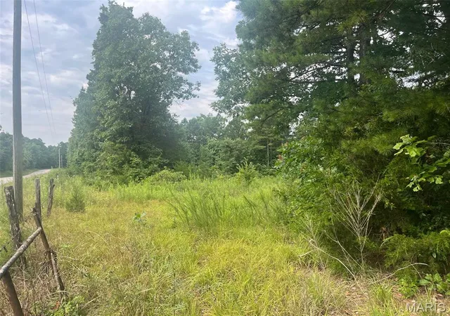 Photo 3 of Land for sale at 0 Grassy Hollow Rd, Potosi, MO 63664 | MLS# MIS26046605 | Listing updated on 2026-07-23